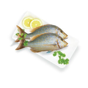 Fresh Shari Fish Medium 1 kg