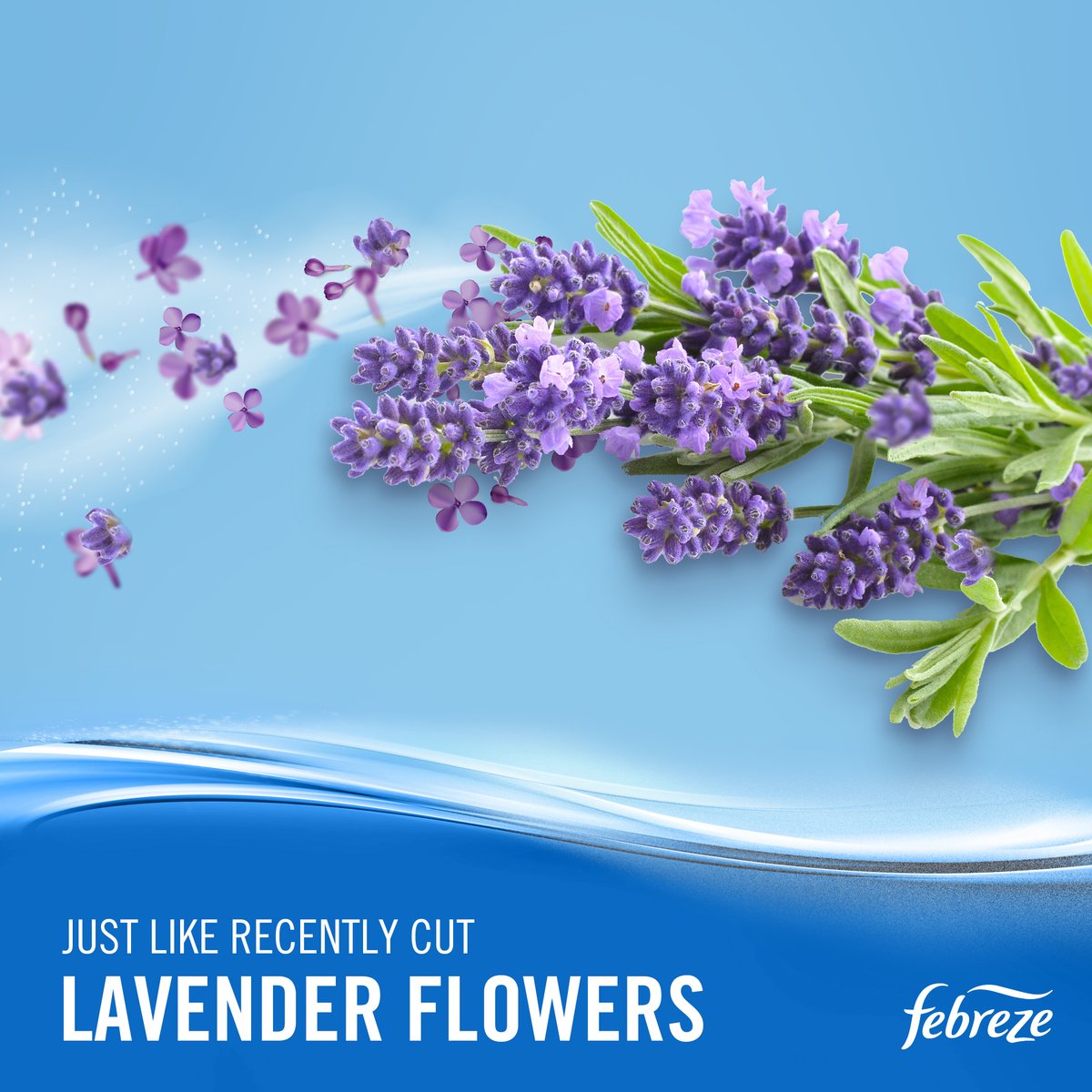Febreze Air Freshener Lavender 300ml