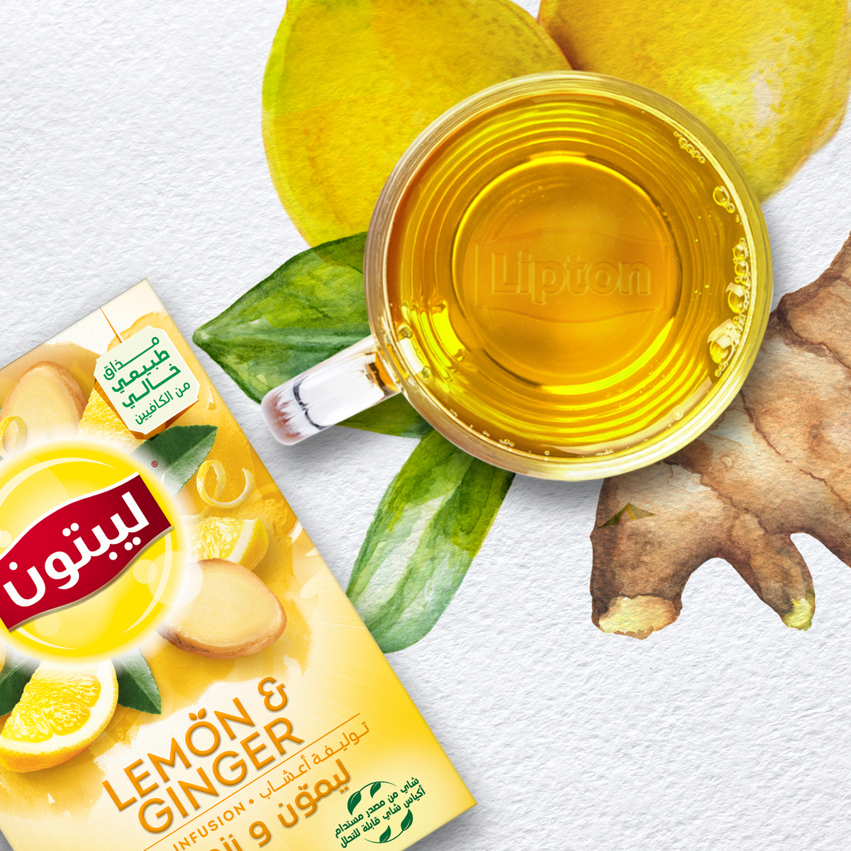 Lipton Lemon & Ginger Herbal Infusion Tea 20 Teabags
