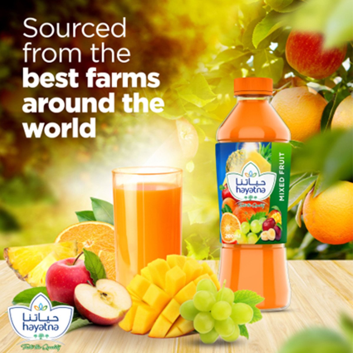 Hayatna 100% Pure Mix Fruit Nectar Juice 200 ml