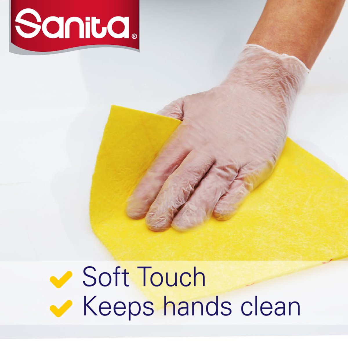Sanita Disposable Non-Powdered Gloves Large 100pcs