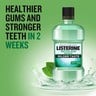 Listerine Mouthwash Teeth & Gum Defence Milder Taste Soft Mint 250 ml