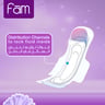 Fam Night Sanitary Pads Folded With Wings 48pcs