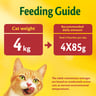 Purina Friskies Beef Chunks in Gravy Wet Cat Food Pouch 85 g