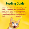 Purina Friskies Kitten Chicken Chunks in Gravy Wet Cat Food Pouch 85 g