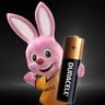 Duracell Type AAA Alkaline Batteries, pack of 12