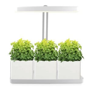 MGA LED Gardening Grow Light Frame MGA-001 (Plant & Soil Not Included)