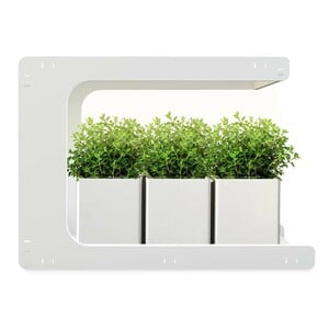 MGA LED Gardening Grow Light Frame MGA-009 (Plant & Soil Not Included)