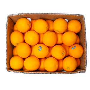Orange Valencia Egypt 14.5 kg