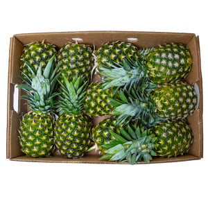Pineapple Philippines Box 10 pcs