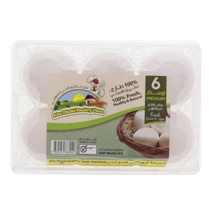 Abu Dhabi Eggs Medium 6 pcs
