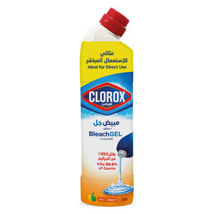 Clorox Citrus Purity Bleach Gel and Cleaner 750 ml