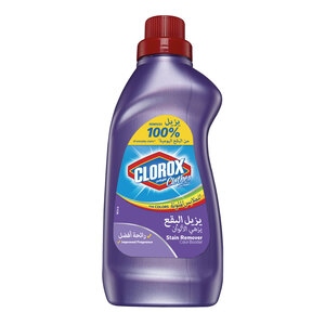 Clorox Clothes Stain Remover Color Booster 900 ml