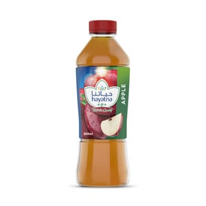 Hayatna No Added Sugar 100% Pure Apple Juice 200 ml