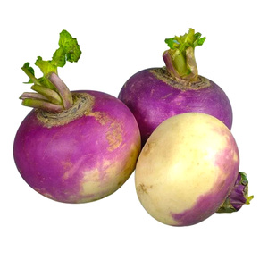 Turnip Qatar 250 g