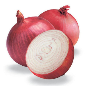 Onion Sudan 1 kg