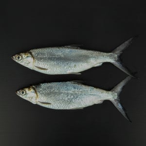 Milk Fish Small Whole Cleaned 1 kg