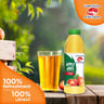 Al Ain Apple Juice 500 ml