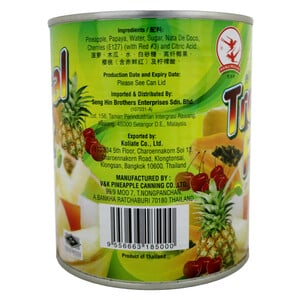 Double Swallow Tropical Fruit Cocktail 836g