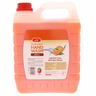 LuLu Anti-Bacterial Handwash Orange 4 Litres