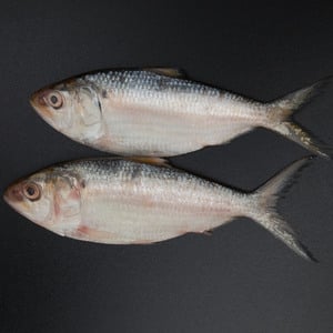 Hilsa (Thody) Fish Whole Cleaned 1 kg