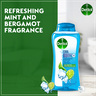 Dettol Cool Shower Gel & Bodywash Mint & Bergamot Fragrance 250 ml
