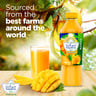 Hayatna, 100% Pure Mango Nectar Juice, 200 ml