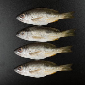 Buy Fresh Naizer Fish Whole Cleaned 500 g Online at Best Price | Whole Fish | Lulu UAE in UAE