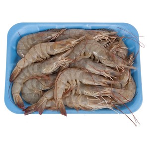Fresh Shrimp Medium 500g