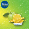 Sanita Hand Sanitizer Spray Citrus Apple 60 ml