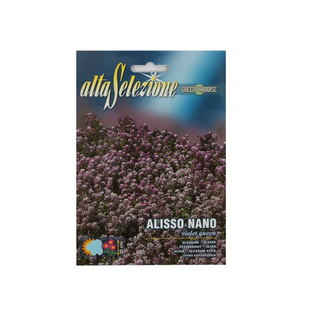 Alta Seeds Alyssum AFS 301/3
