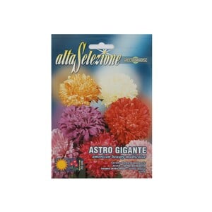 Alta Mixed Seeds Aster AFS  304/1
