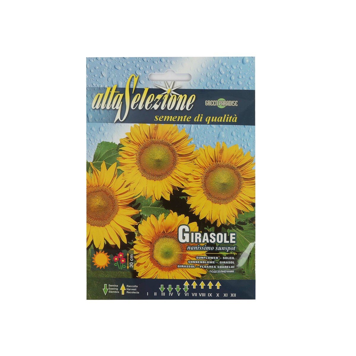 Alta Seeds Sunflower AFS 329/3