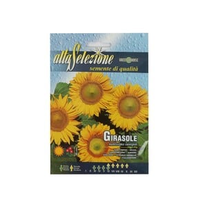 Alta Seeds Sunflower AFS 329/3