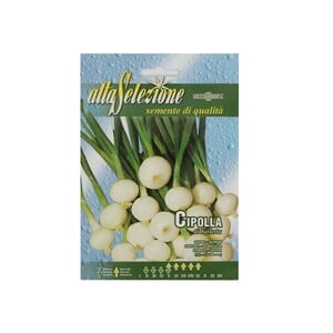Alta Seeds Onion AVS 42/1