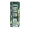 Perrier Lime Flavored Carbonated Mineral Water 10 x 250 ml