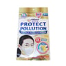 Charm P/Pollution Mask 2s