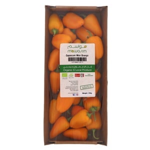 Organic Baby Capsicum Orange 1pkt
