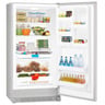 Frigidaire Single Door Refrigerator MRA-21V7QS 581 Ltr