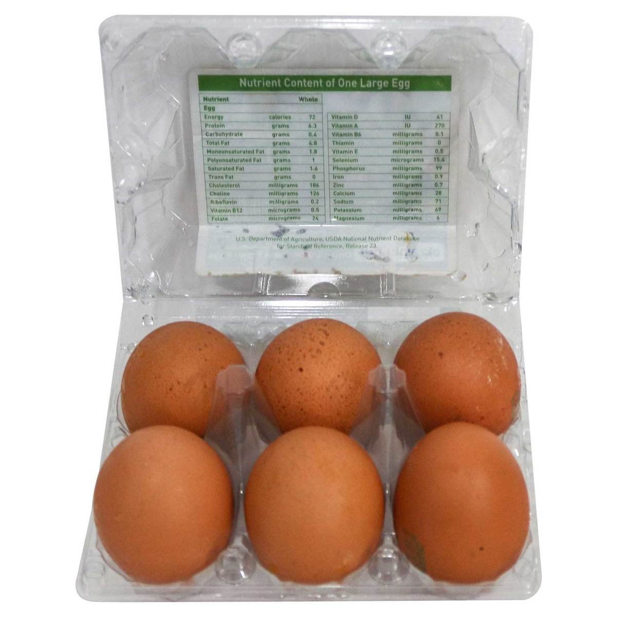 Al Zain Brown Egg Large 6 pcs