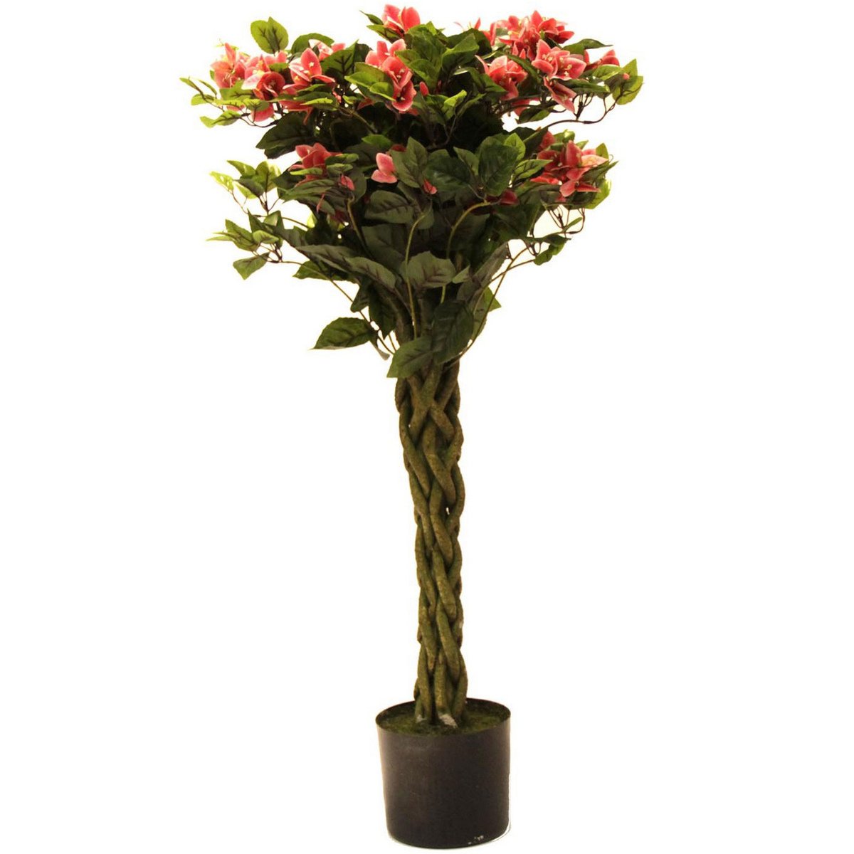 Home Style Bongainvillea Tree With Pot- 105cm