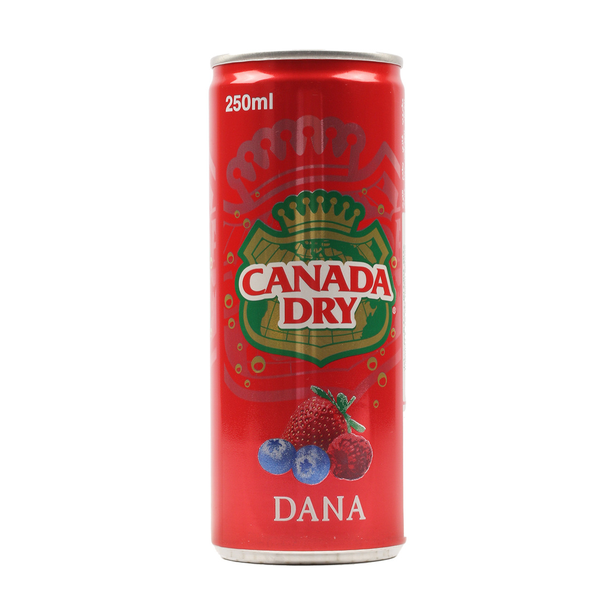 Canada Dry Dana 24 x 250ml
