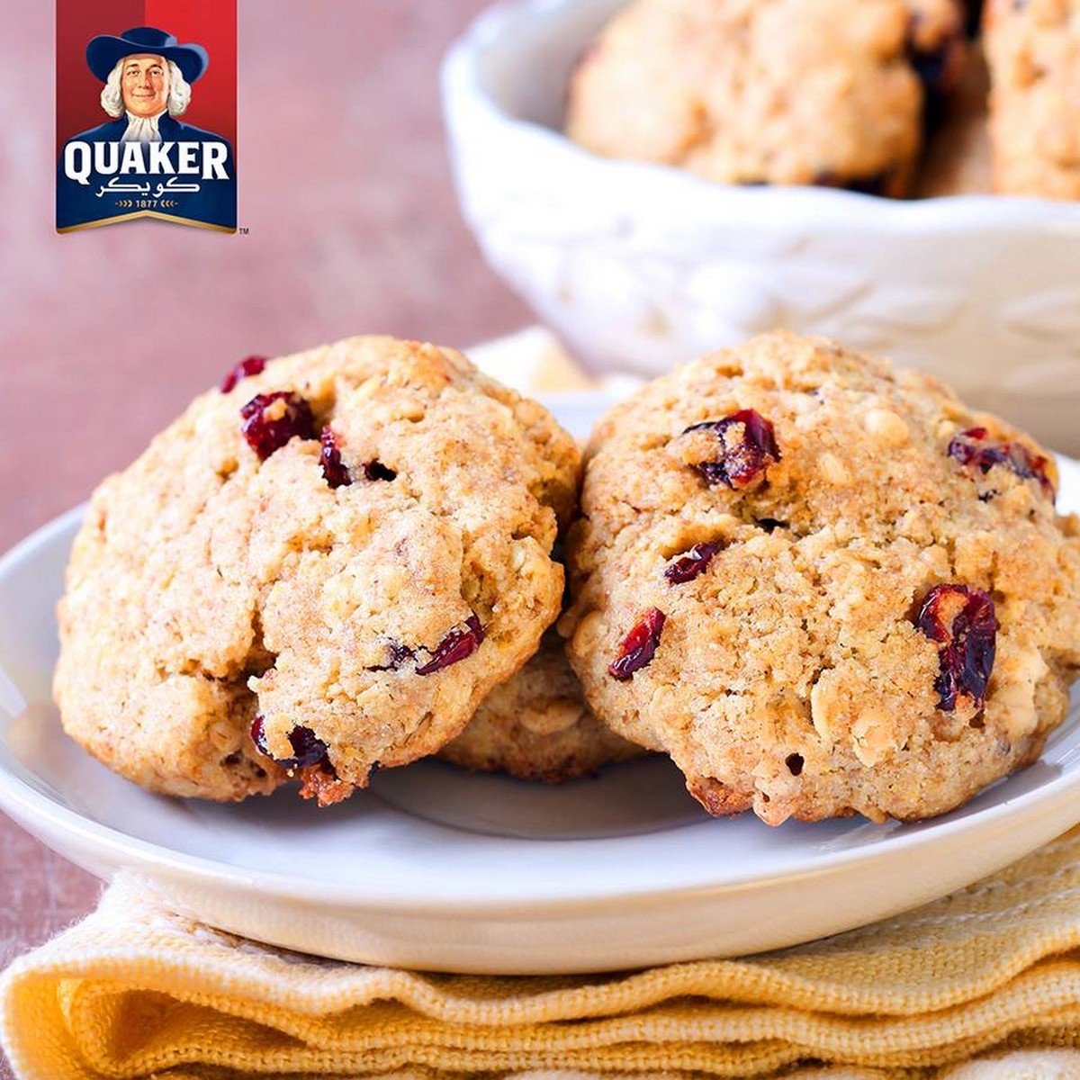 Quaker Raisins Oat Cookies 54 g