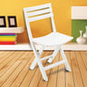 Progarden Folding Chair Assorted BIRKI