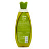 Aloe Eva Strengthening Hair Oil Aloe Vera And Olive Oil 300 ml