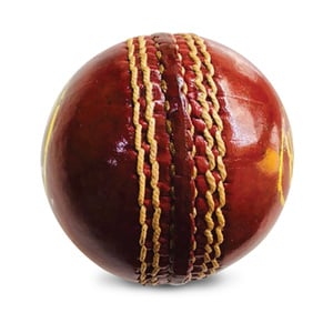 Passion Cricket Hard Ball BSB0058
