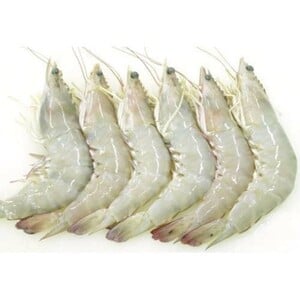 Frozen Shrimps 20/30 500g