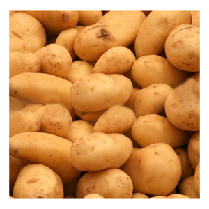 Potato UK 1kg
