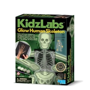4M Kidz Labs Human Skeleton 03375