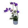 Home Style Artificial Flower With Pot